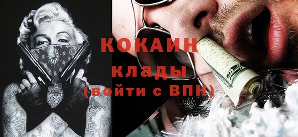 PSILOCYBIN Алзамай